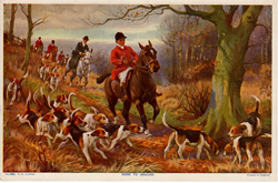 Fox hunting, polo and other horse prints